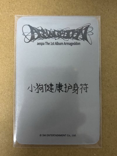 aespa Winter 冬天 正規一 sr 特典卡 星河預售C冬 冬-18