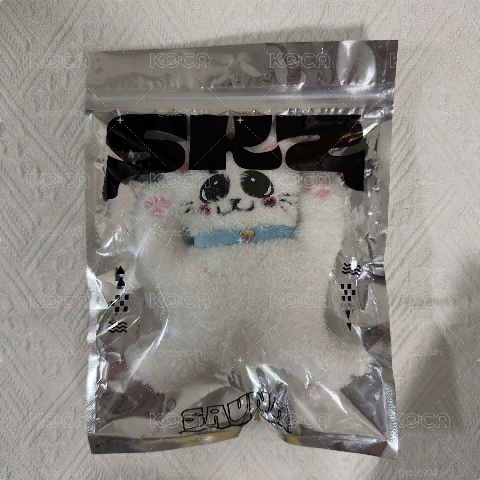 桑拿日周成員設計娃 菲寅