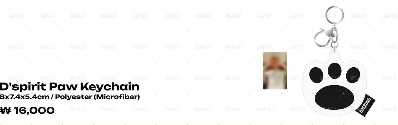 2026 D’S WAVE ENCORE 周邊卡 虎掌鑰匙圈 小卡 背面