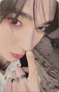 나비 nemoz 專輯卡 