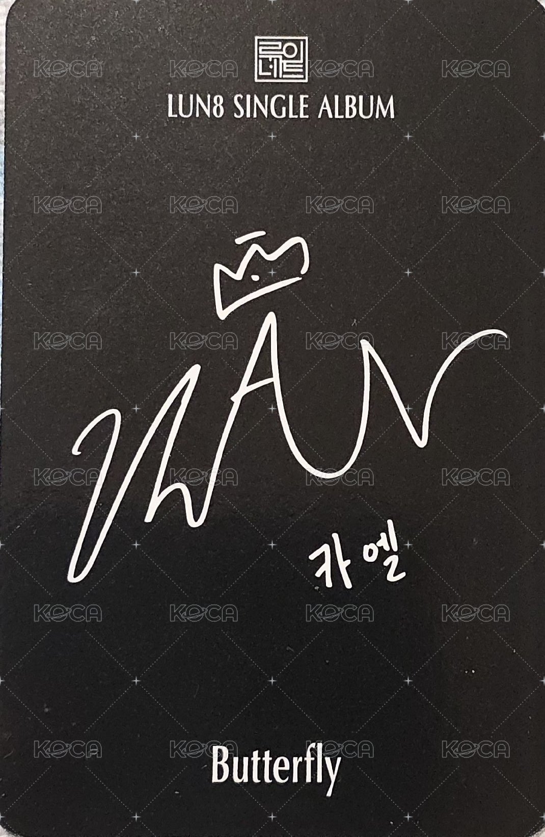 나비 nemoz 專輯卡  背面