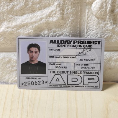 ALLDAY PROJECT 出道id卡一套