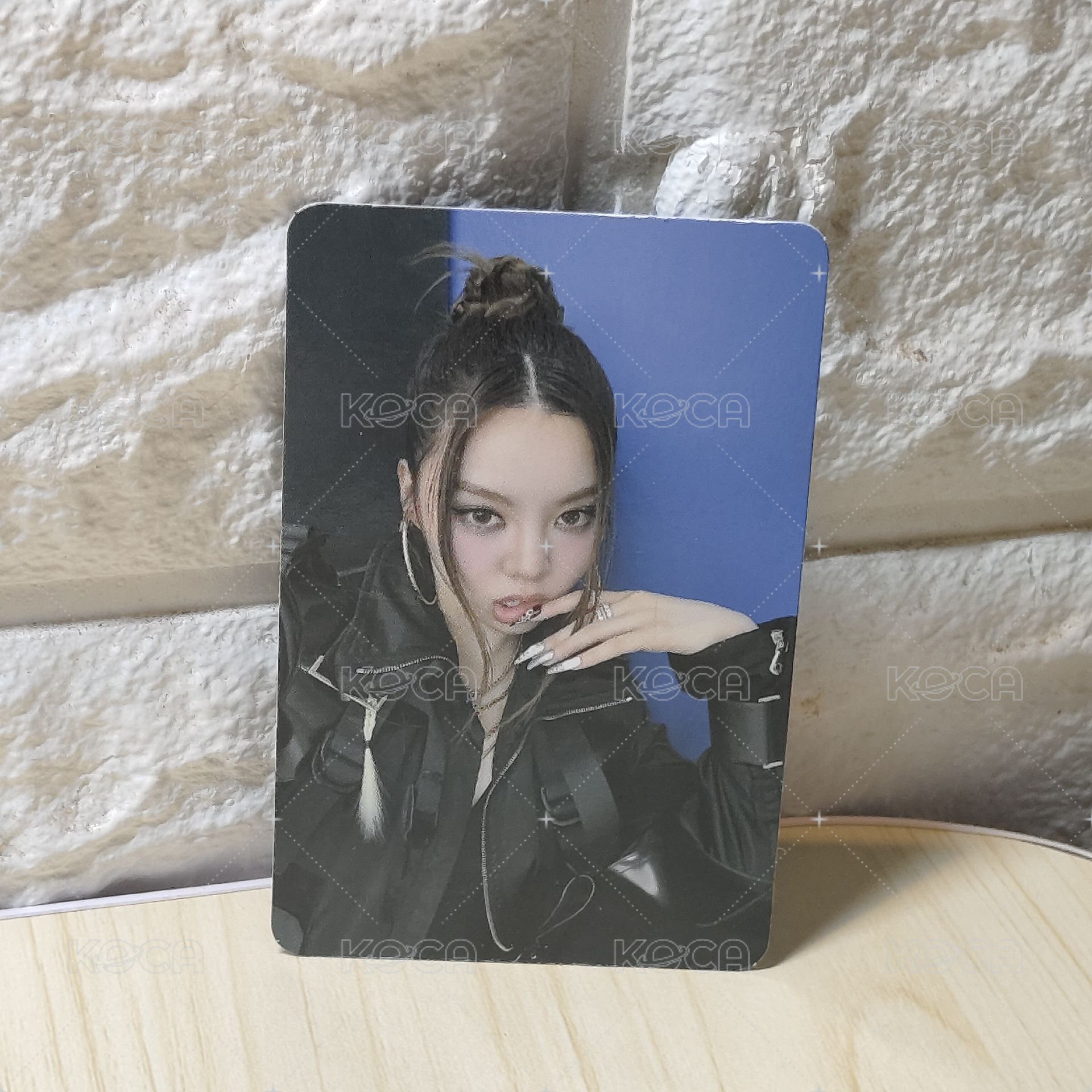 貝  Bailey 