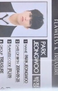 TREASURE X FLAWLESS  4.0 代言卡 ID卡 ver 1