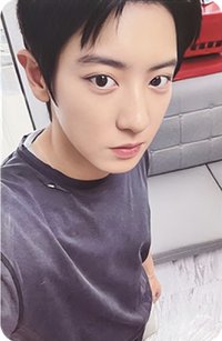 Reverxe k4 特典卡 