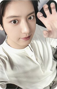 Reverxe k4 抽選卡 