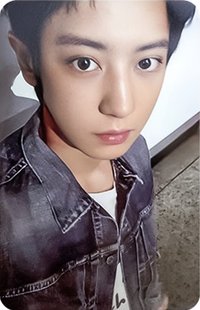 Reverxe am 特典卡 