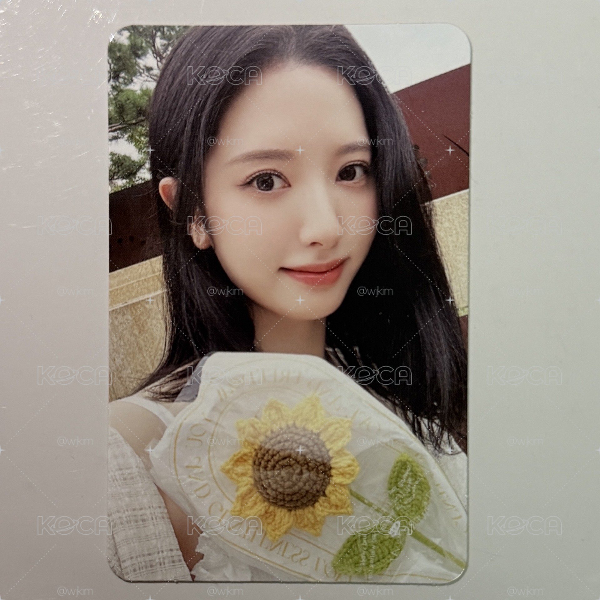 Bona SSQ 特典 2025年曆 Sunflower 向日葵 苞娜 單張