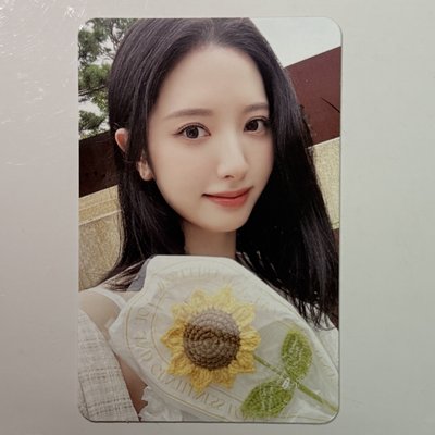 Bona SSQ 特典 2025年曆 Sunflower 向日葵 苞娜 單張