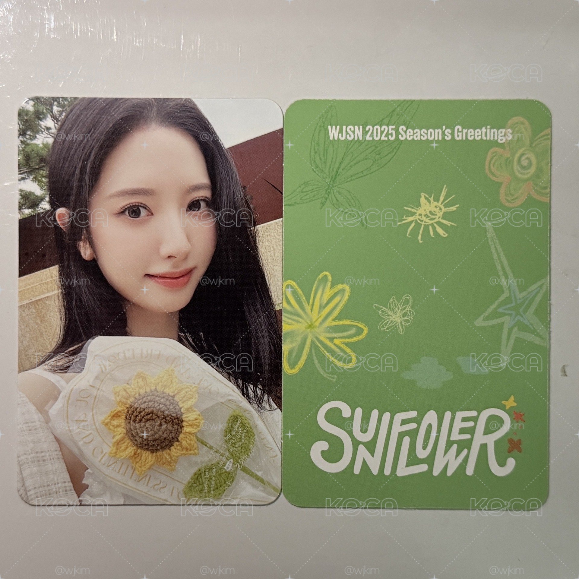Bona SSQ 特典 2025年曆 Sunflower 向日葵 苞娜 單張