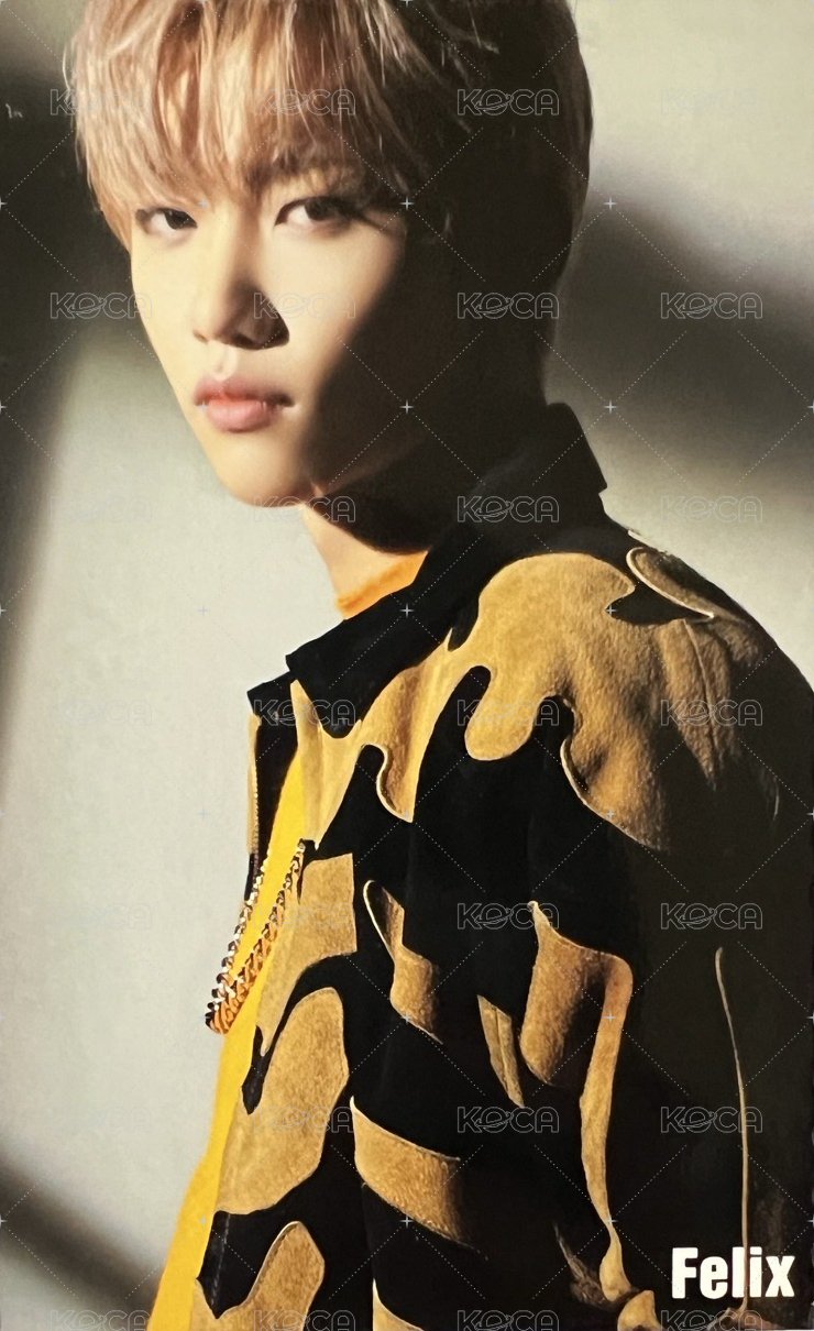 SKZ2020 專輯卡 完全生產限定盤 背面