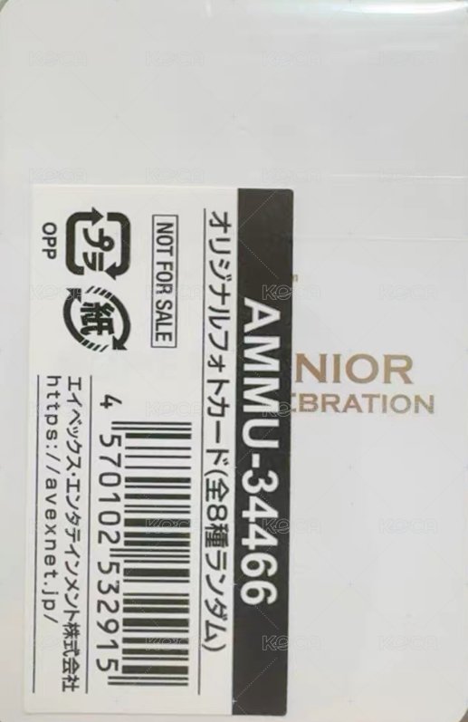 正規11 Vol.2 mumo 特典卡  背面