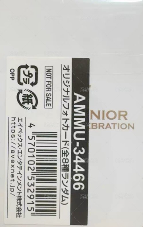 正規11 Vol.2 mumo 特典卡  背面