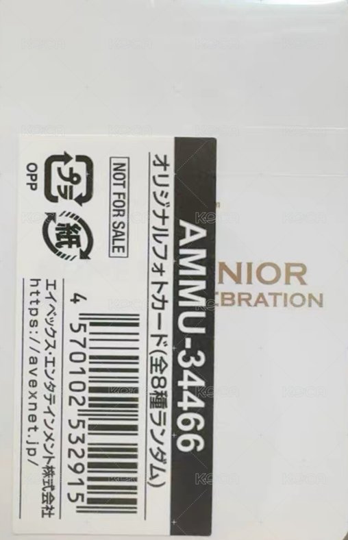 正規11 Vol.2 mumo 特典卡  背面