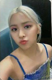 Not Shy yzy 1.0 簽售卡 