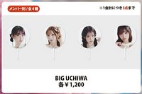 一巡 扇子 日本場限定