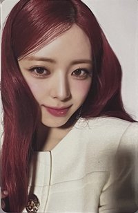 Algorhythm 個人盤 專輯卡 