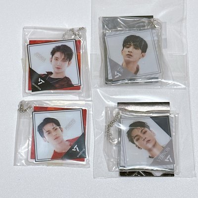 Seventeen 萬代扭蛋小吊飾