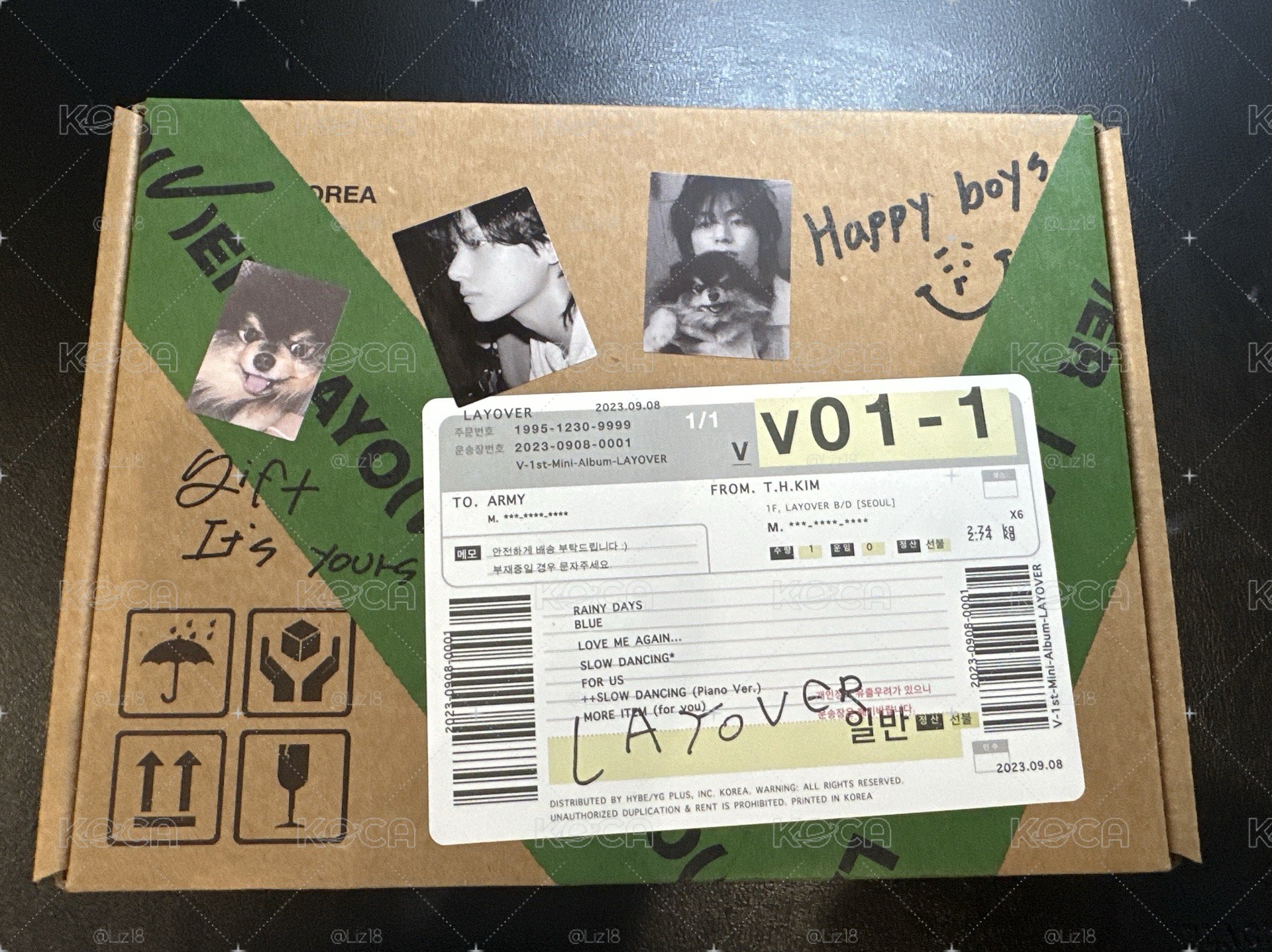 BTS V[LAYOVER]