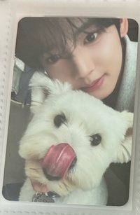 狗狗辰（綁6張卡）