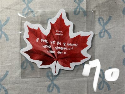 NMIXX 全員特典卡