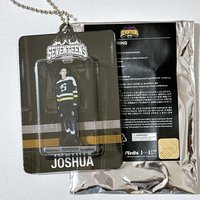 知秀吊飾（綁💙）