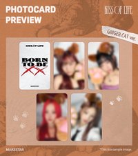 ms線上線下簽售 偵探 起司貓ver.