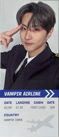 禎元機長隨機票卡 遊戲卡 