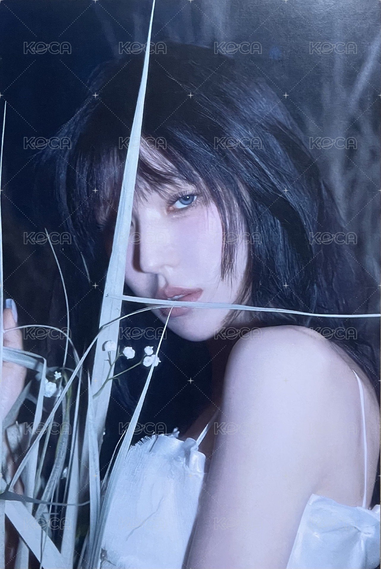 Cerulean Verge fanme 台北簽售入場 明信片  背面