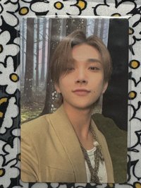 正四克拉 樹林刷