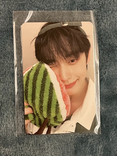 ZB1 金地雄 西瓜卡 中文卡背