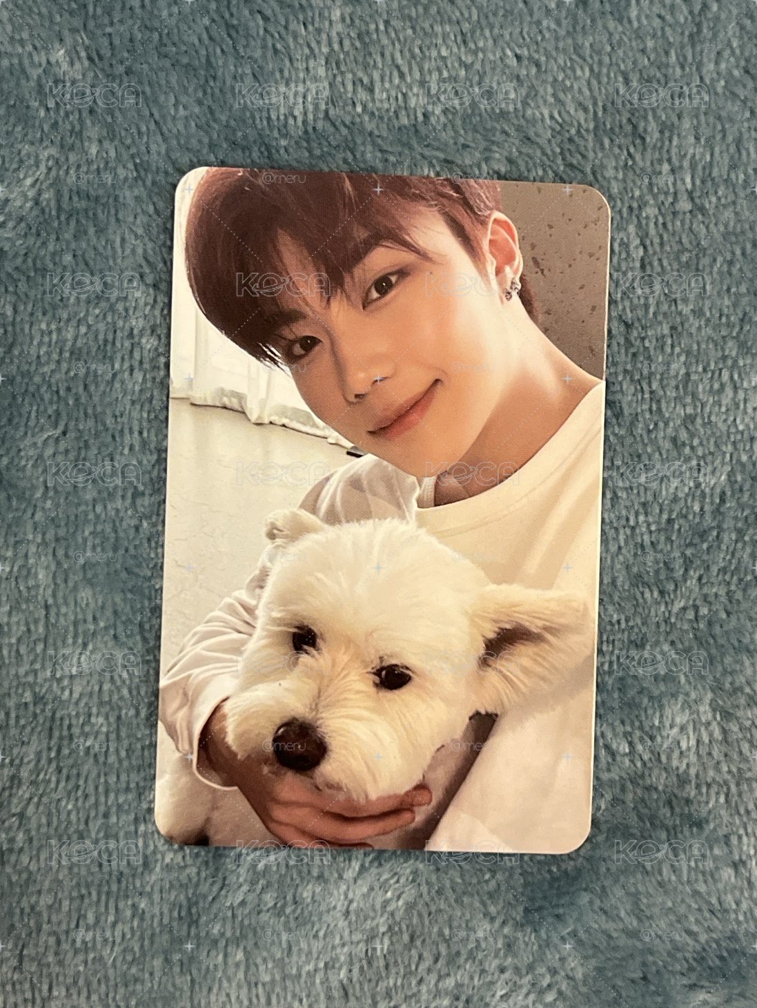 ZB1 朴乾旭 狗狗旭 小狗卡