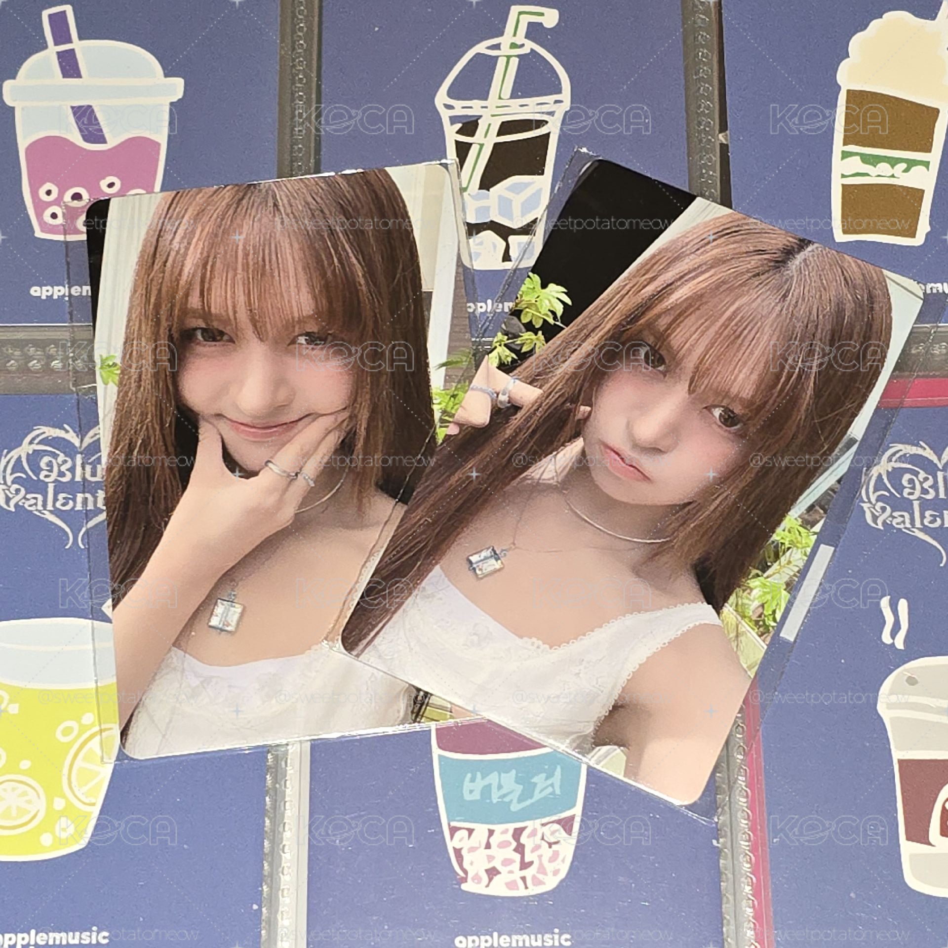 Fm滿額 莉 二張