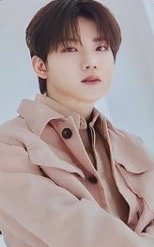 2024 WELCOMING COLLECTION wvs 特典卡 