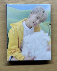 迷11克拉盤燦（無外殼）