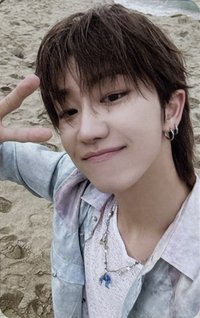 MINI12 專輯卡 wvs電子專