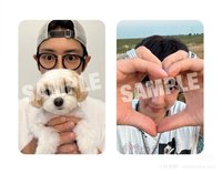 UPSIDE DOWN mumo 特典卡