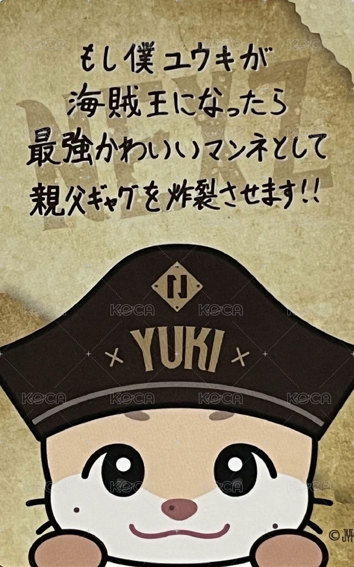 2025 日巡場周 滿額卡 海盜 ver. 背面