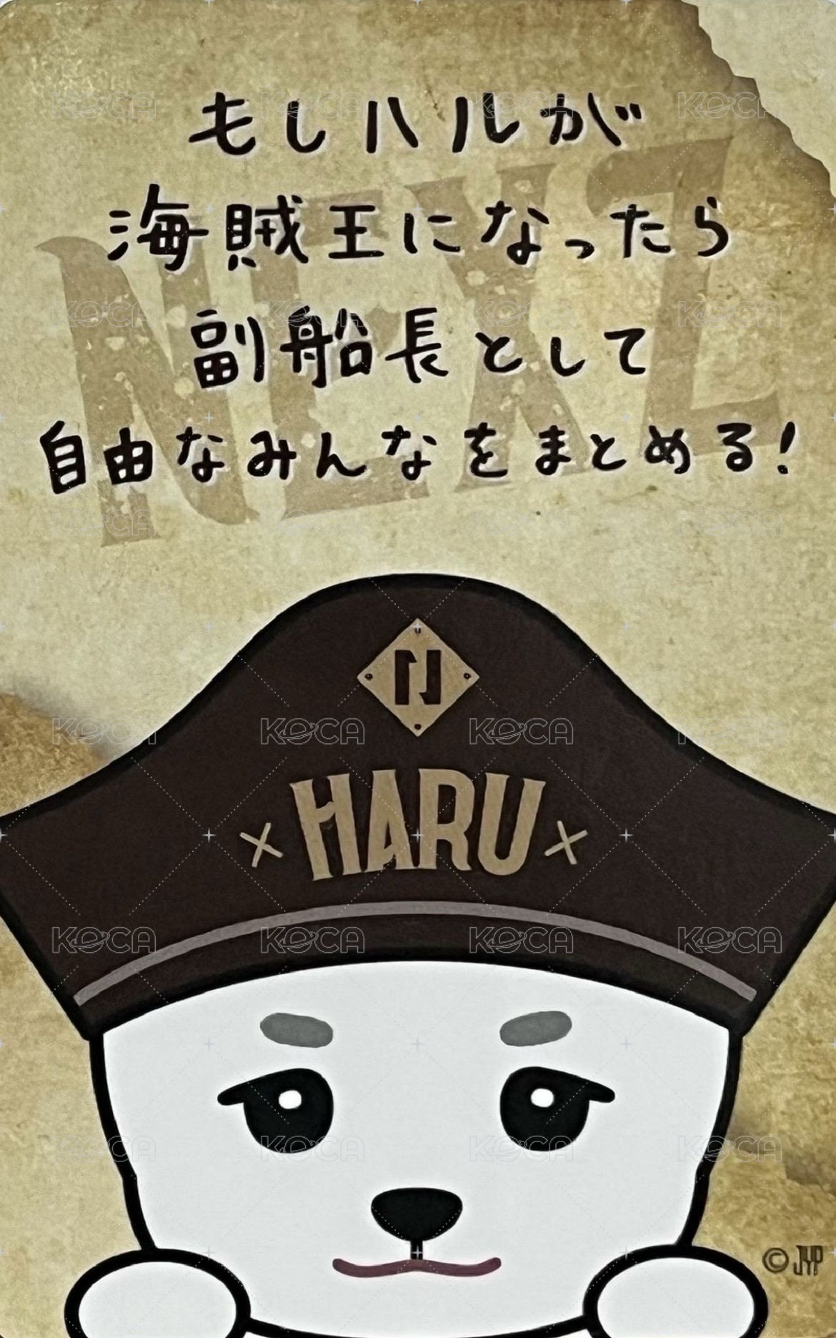 2025 日巡場周 滿額卡 海盜 ver. 背面