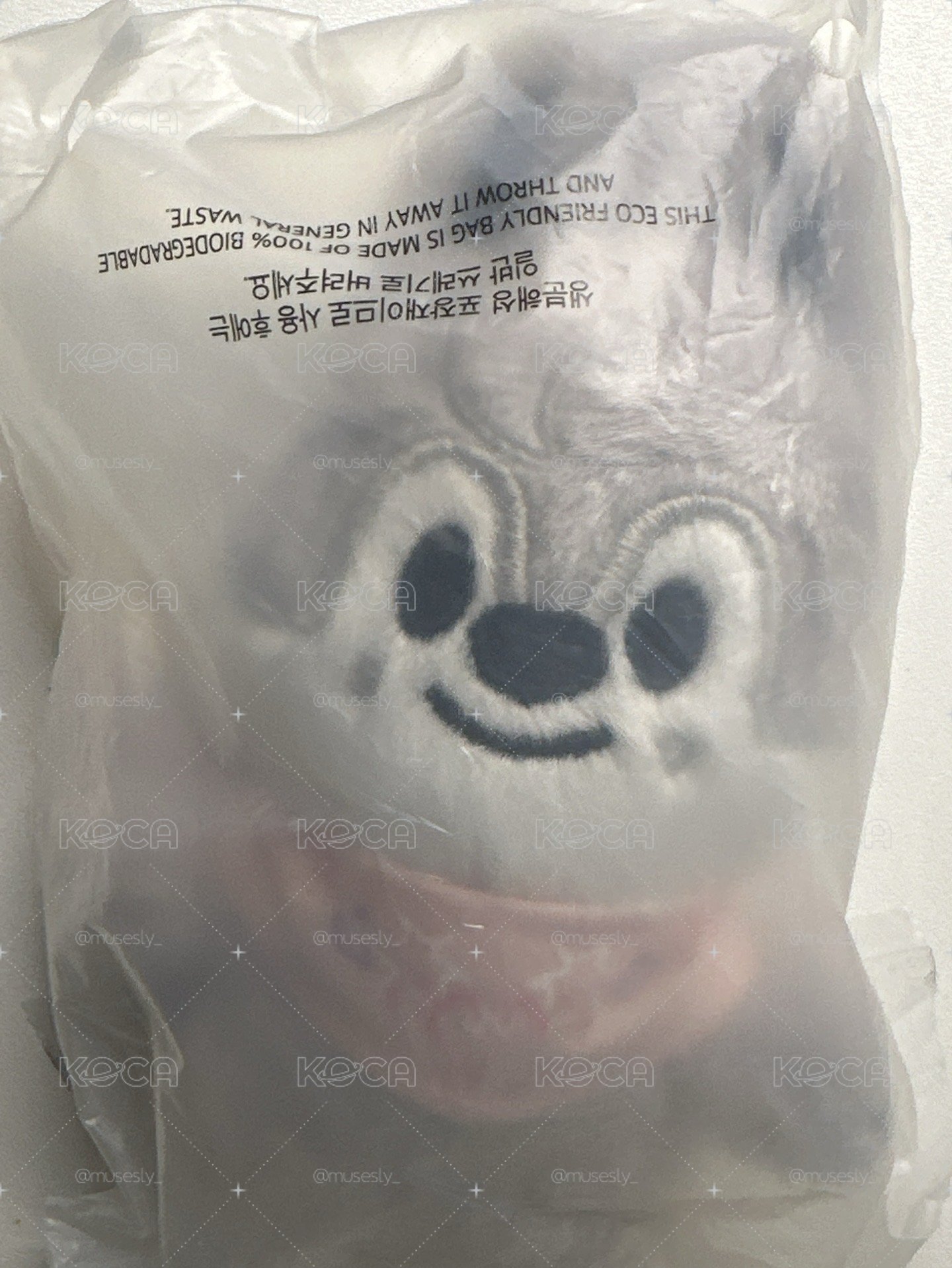 燦 飯咪娃