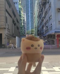 馬鈴薯
