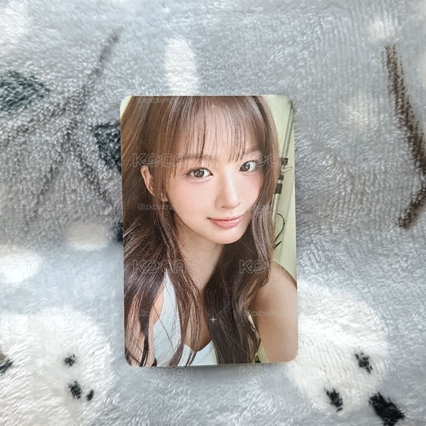 sr薛