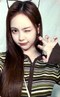 Focus QQ音樂 星光卡 五星