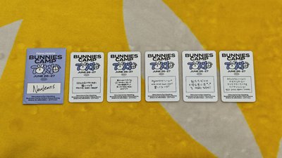 NewJeans BUNNIES CAMP 2024 東京巨蛋場 - P席限定小卡組+限定明信片組