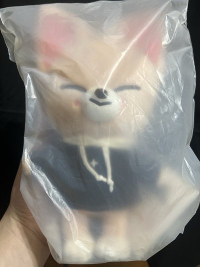 I.N 20公分娃（全新