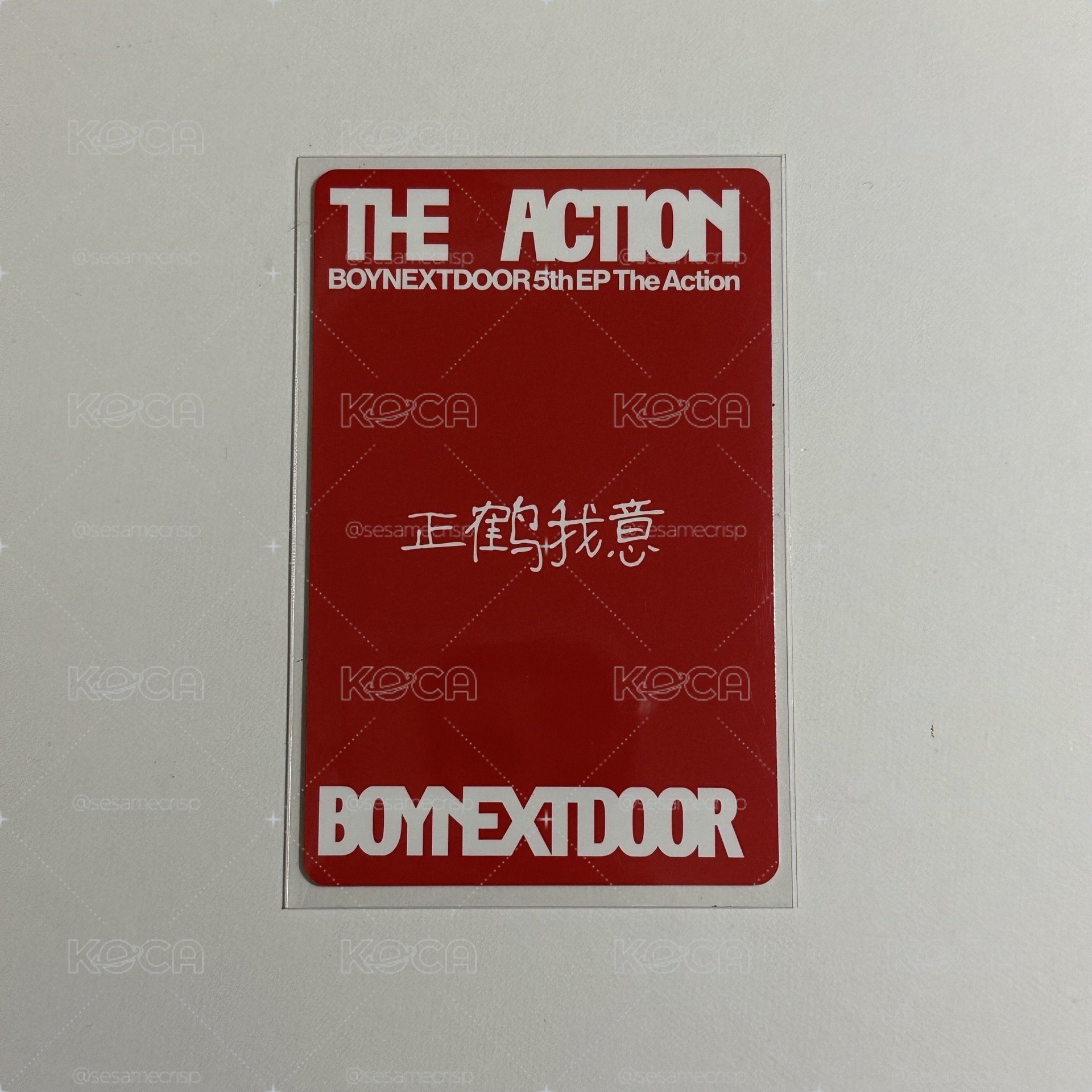 正鶴我意