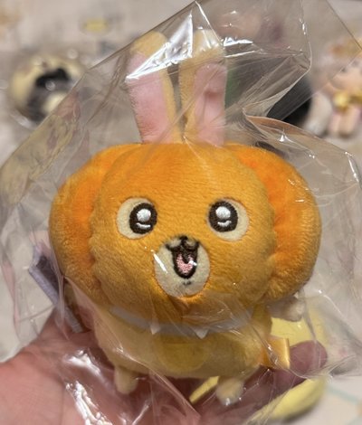 南瓜兔兔 送小包包