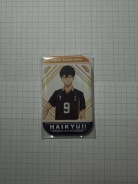 影山正面