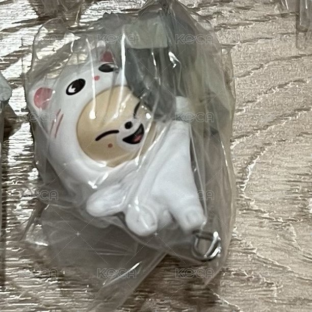 寅