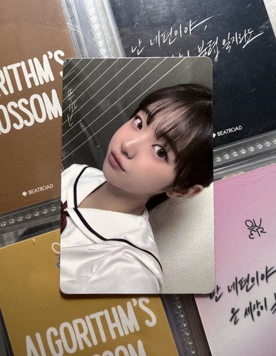 ❇️ [有暇] 迷一 專輯卡 secret ver. C Chodan